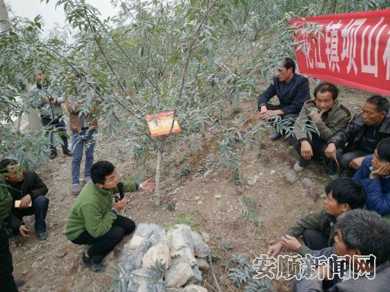 貴州花江鎮(zhèn)新顏魅力與變遷展示，古鎮(zhèn)最新圖片一覽