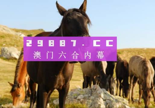 澳門管家婆一肖一碼一中一開,精細(xì)化解讀說明_戶外版25.438