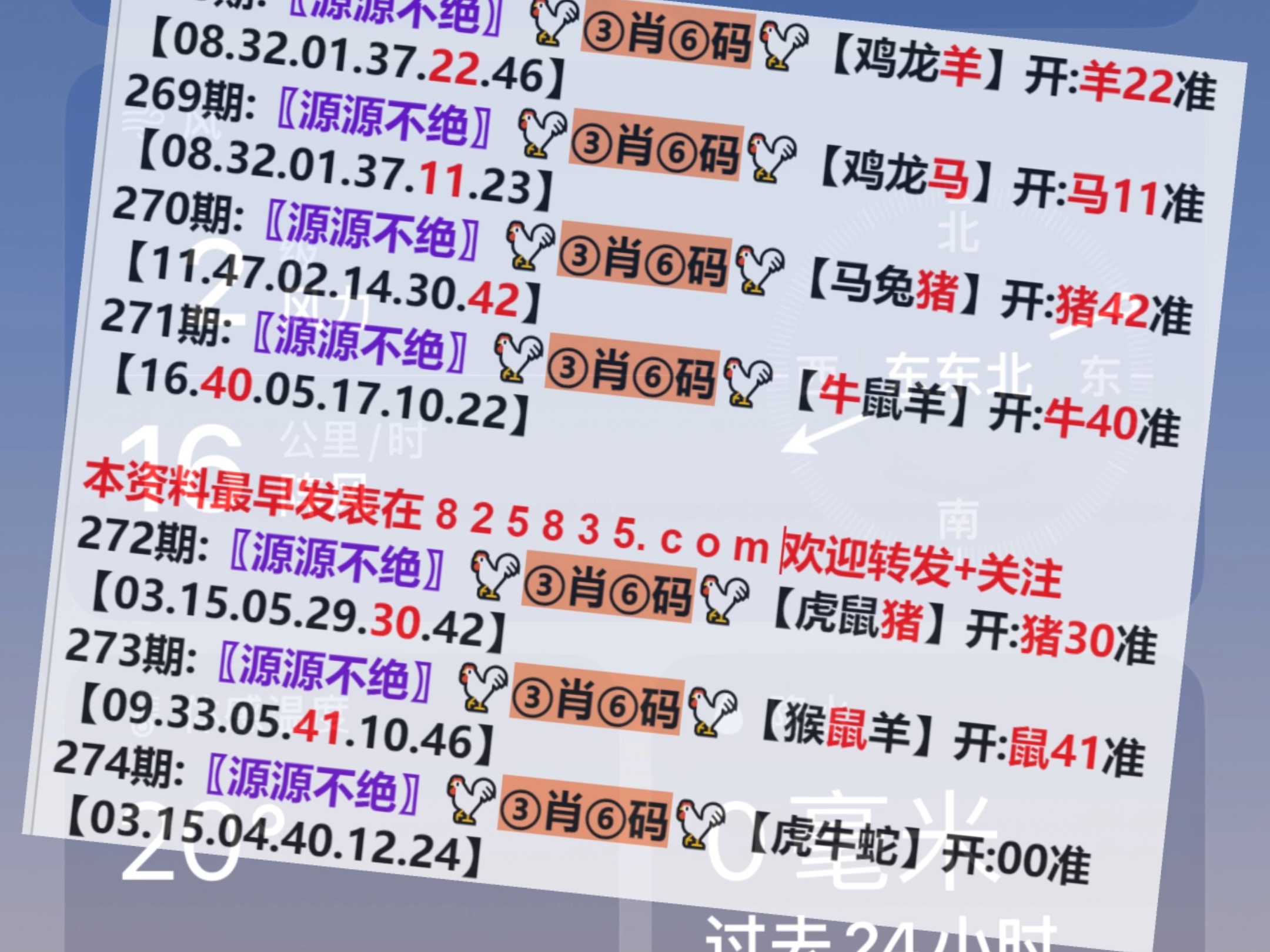 〆゛只可是是空談 第2頁(yè)