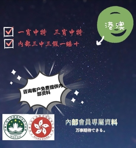 王中王一肖一特一中一澳,深層設(shè)計(jì)解析策略_SHD33.95